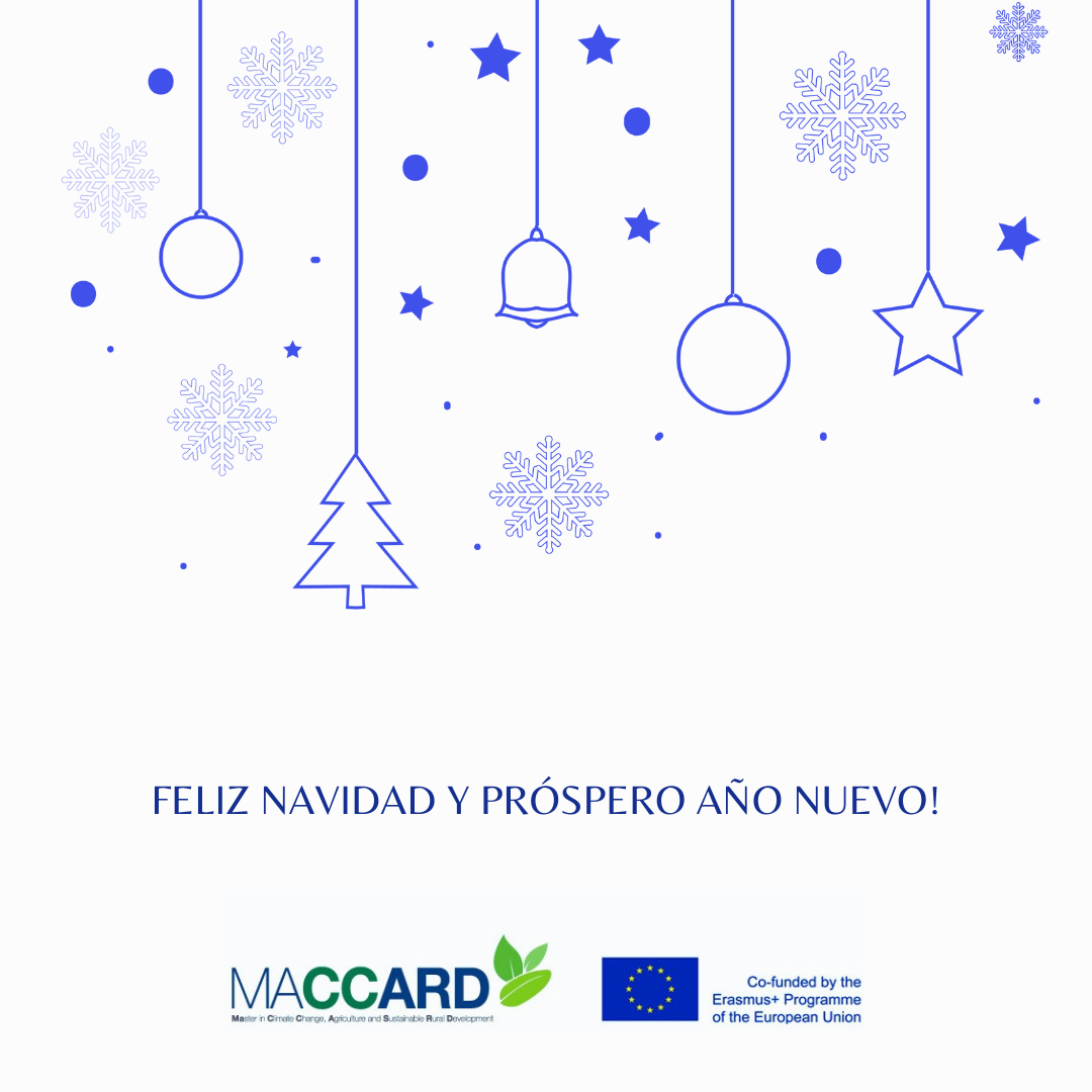 Feliz Navidad y Próspero Año Nuevo